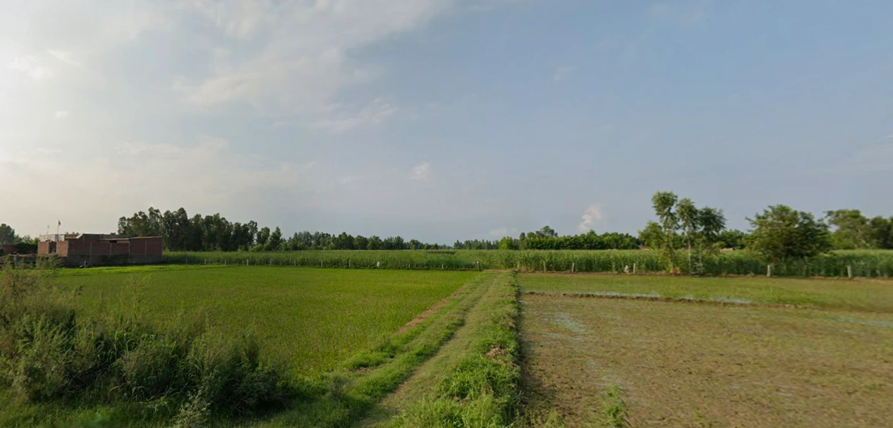 Siyana, Uttar Pradesh 203412, India