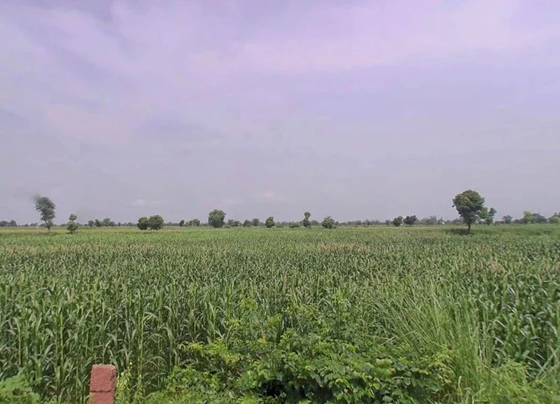 Manoharpur, Rajasthan 303104, India preview 3