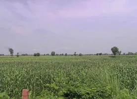 Manoharpur, Rajasthan 303104, India preview 3