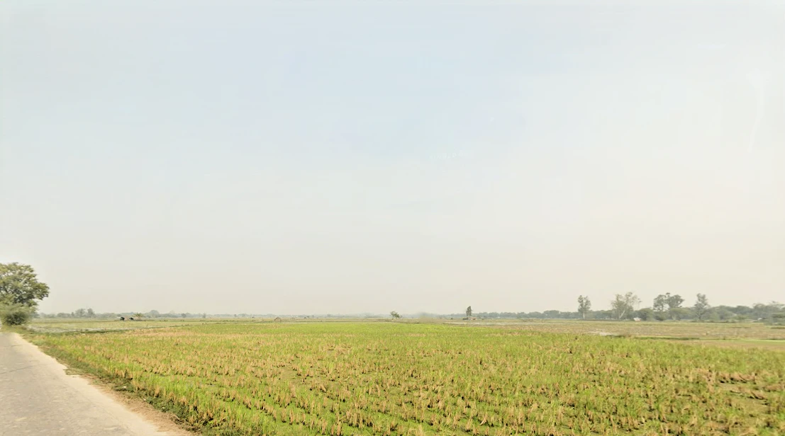 Mundka, Delhi, India