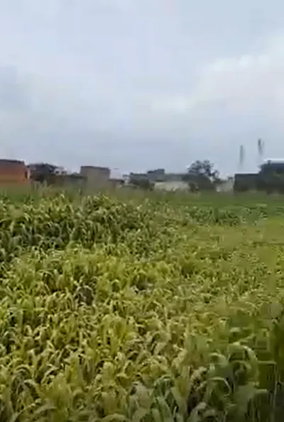 Baparasi, Meerut, Uttar Pradesh 250342, India preview 3
