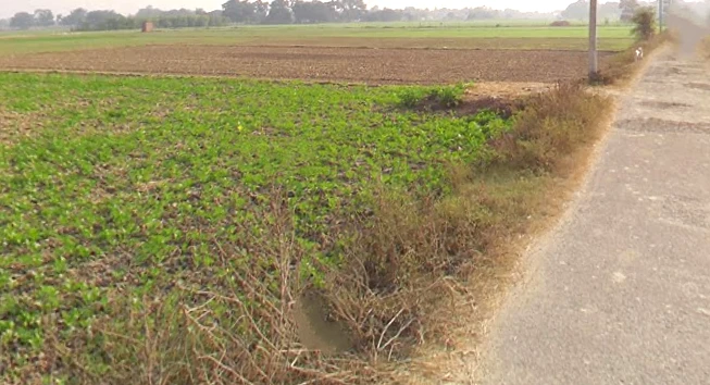 Karchana, Uttar Pradesh 212301, India