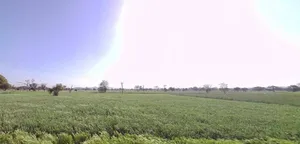 3PQR+WJ3, Jaipur - Jhunjhunu Bypass Rd, Tantiyawas, Rampura Dabri, Rajasthan 303704, India preview 2