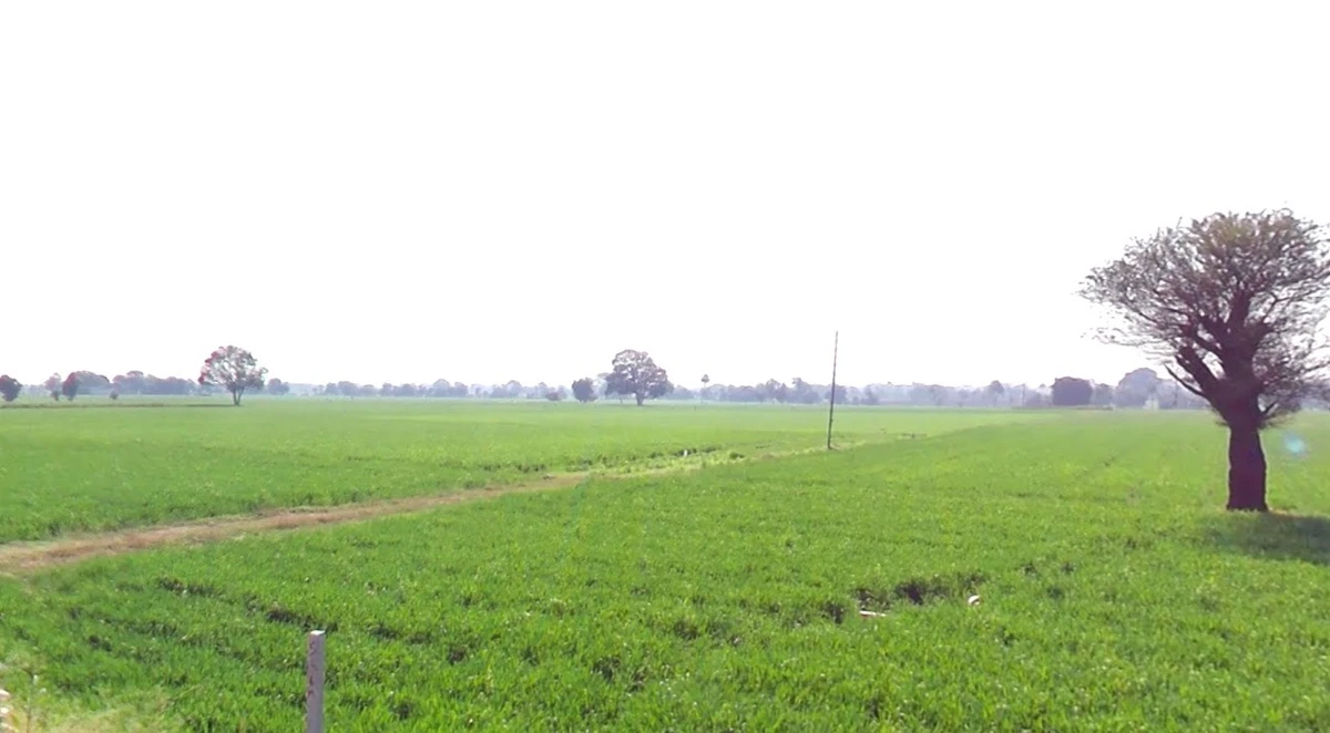 Salamkhedi, Madhya Pradesh, India