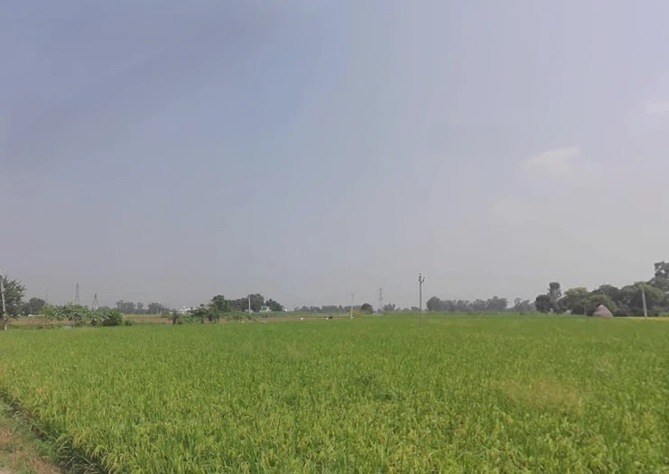 Machhike, Punjab 142039, India