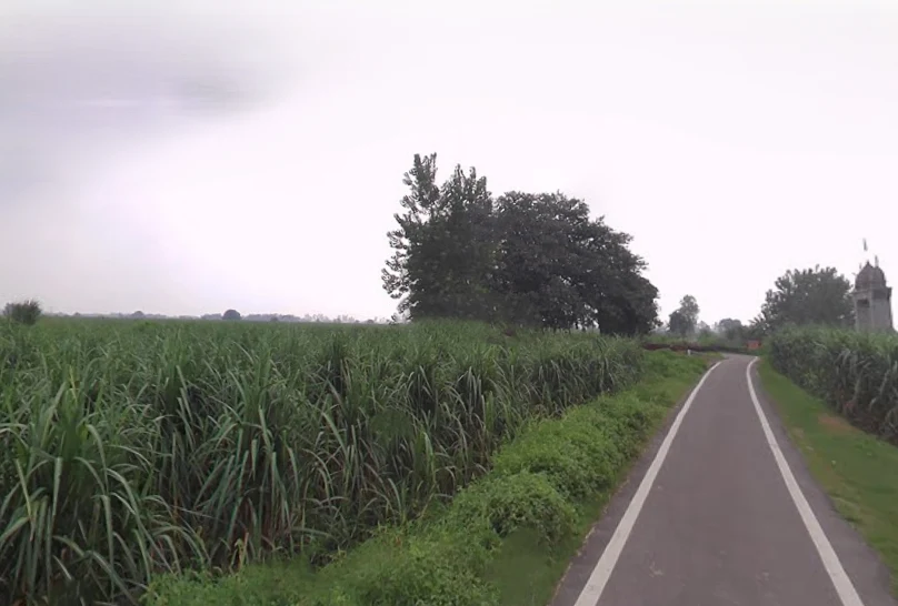 Chandna, Uttar Pradesh 250342, India