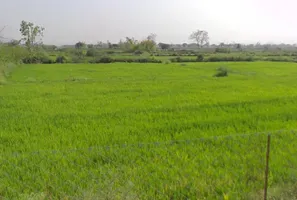 Bhilai, Chhattisgarh 493441, India preview 3