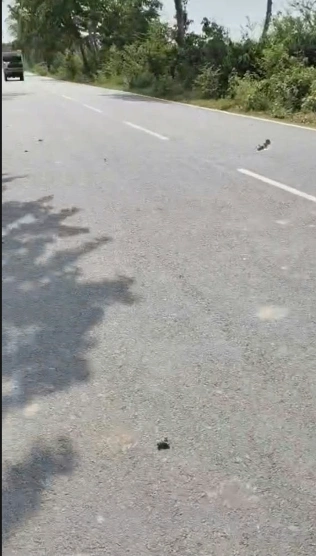 Dihwa, Ballia, Uttar Pradesh, India