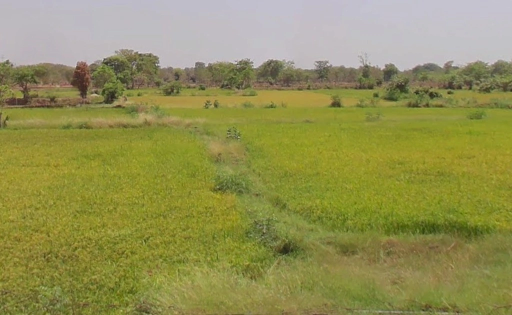 Mokhala, Chhattisgarh 493441, India