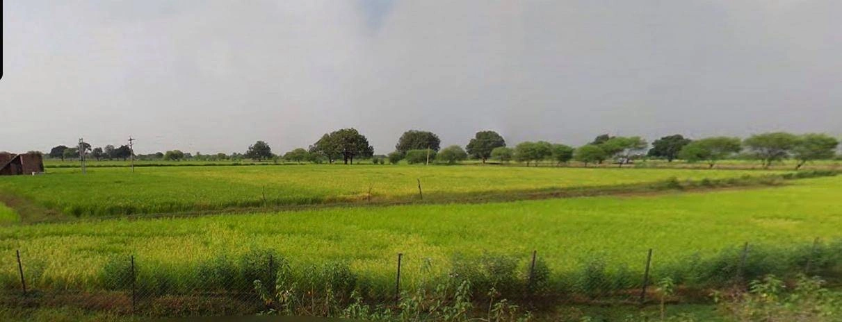 Farukh Nagar, Haryana 122506, India