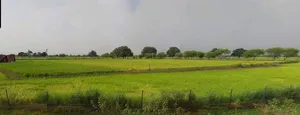 Farukh Nagar, Haryana 122506, India preview 3
