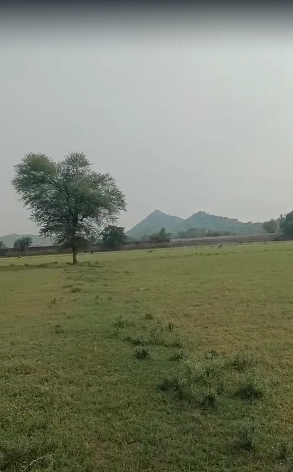 Q444+7HJ, Kotputli-Behror, Nareda, Narhera, Rajasthan 303105, India