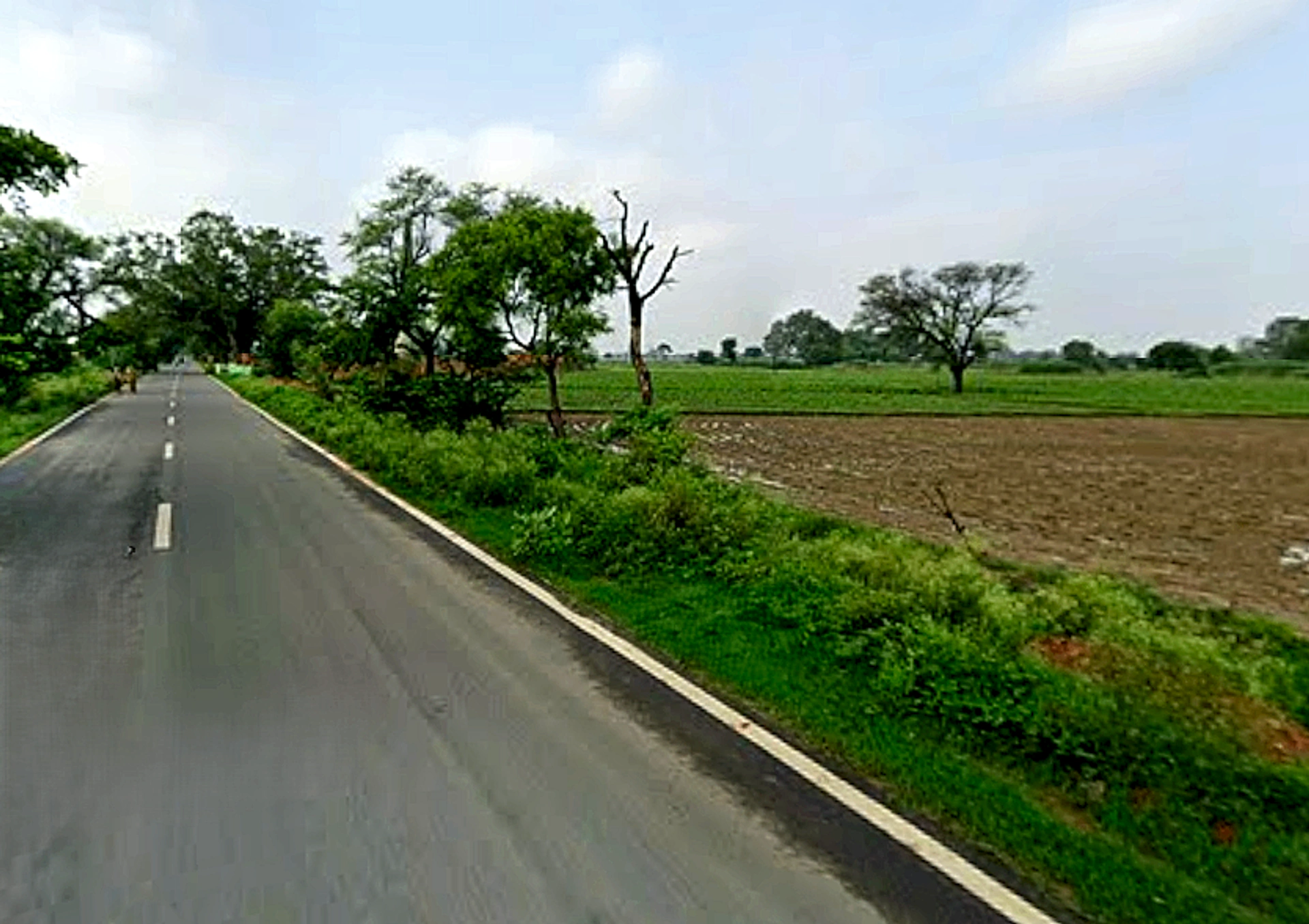 Auhawa Bangar, Uttar Pradesh, India