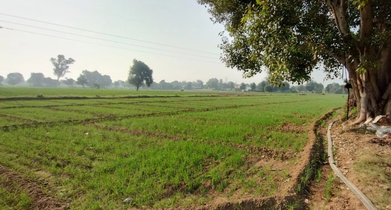 Jahar Khera, Rajasthan, India