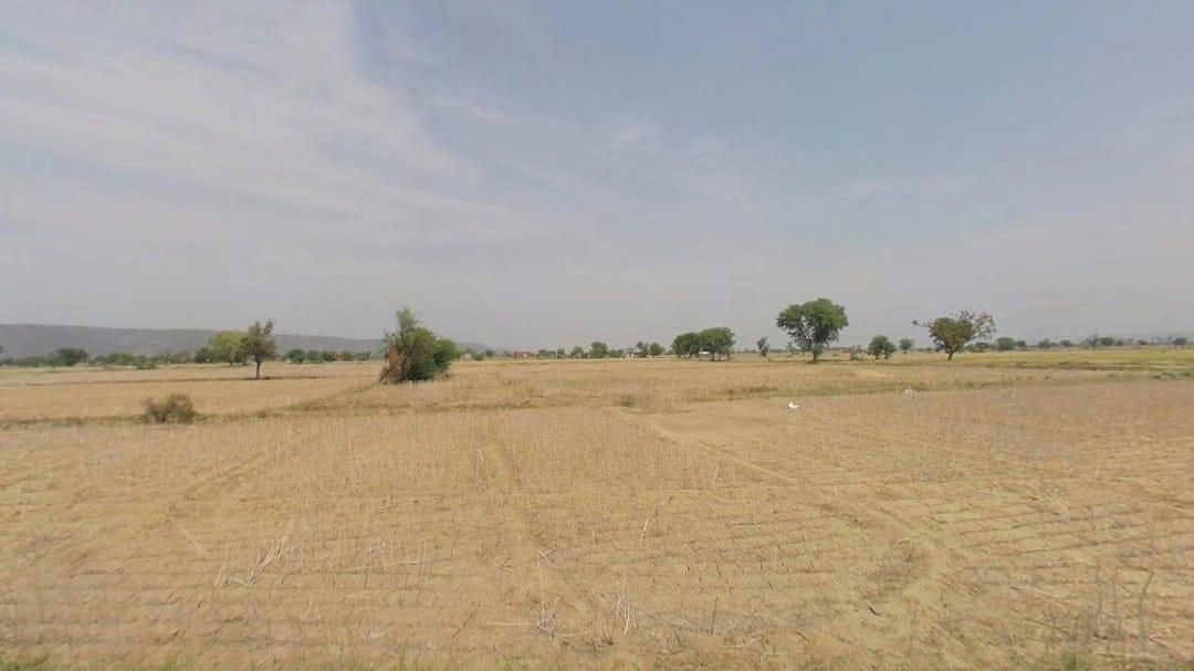 PW7P+M68, Rawli, Haryana 122104, India