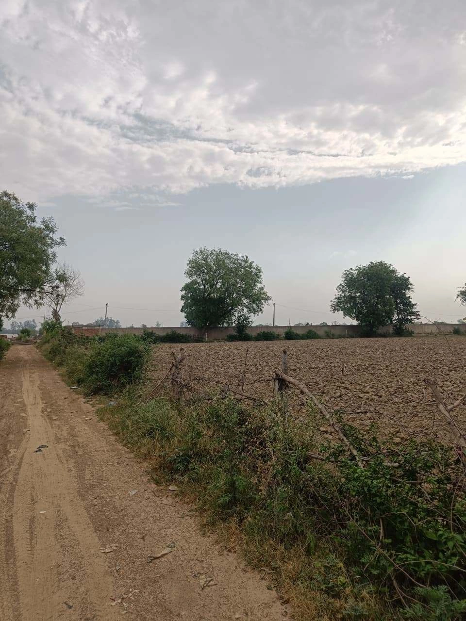 Chhata, Uttar Pradesh 281401, India