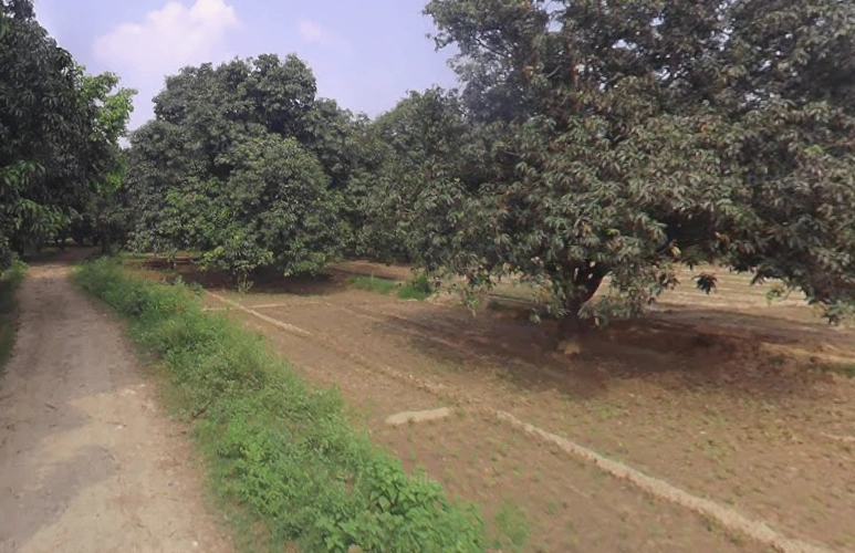 Jhadina, Uttar Pradesh 245205, India