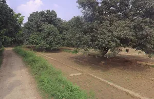 Jhadina, Uttar Pradesh 245205, India preview 3