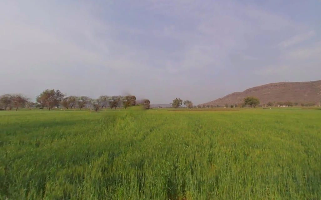 Khunteta Khurd, Rajasthan 301001, India