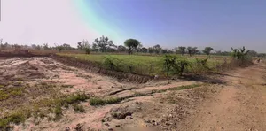 X3RM+RGM, Kumashpur, Sonipat, Haryana 131021, India preview 2
