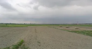 Latbasepura, Bihar 848103, India preview 3