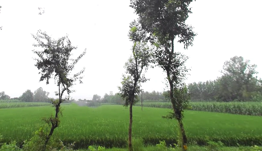 Kurdi Khera, Uttar Pradesh 247129, India