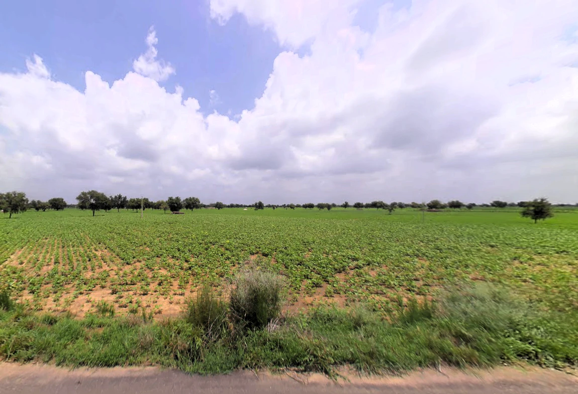 Chaudhari Wali, Haryana 125004, India