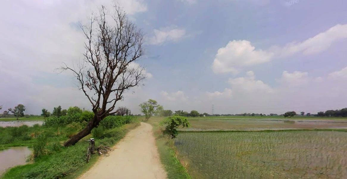 Bijnor, Uttar Pradesh 246701, India