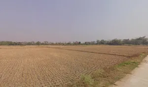 Midnapore, West Bengal, India preview 3