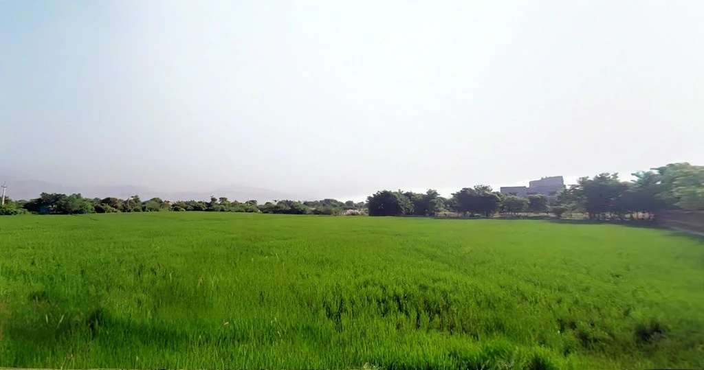 Mandkola, Haryana 121103, India