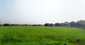Mandkola, Haryana 121103, India preview 3