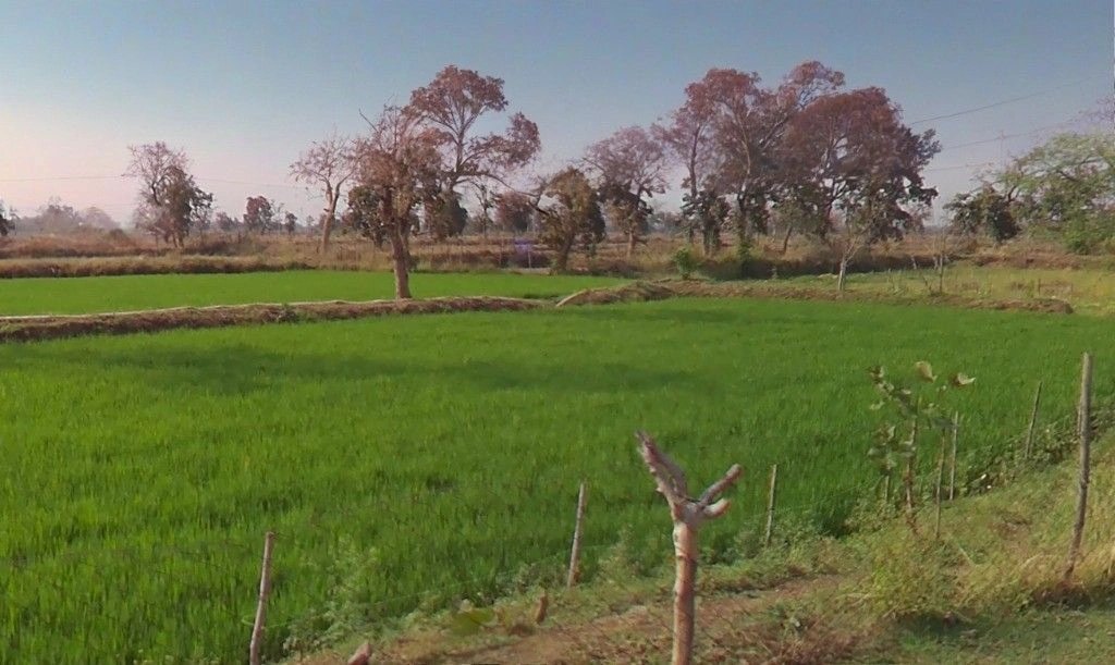 Temri, Chhattisgarh 491340, India