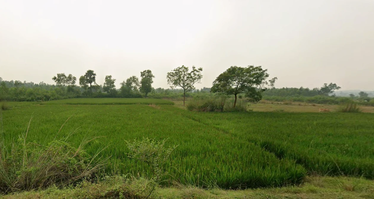 97V7+6HP, Uara, West Bengal 722202, India