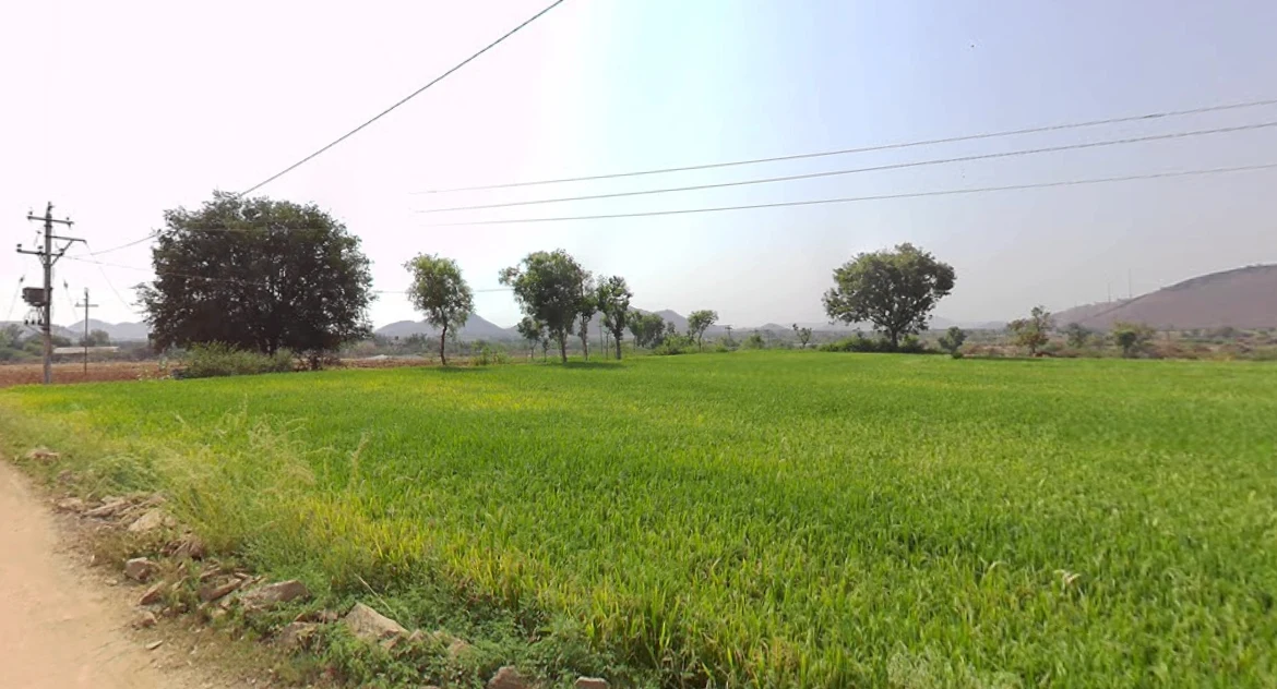 4JX3+F6 Erramanchi, Andhra Pradesh, India