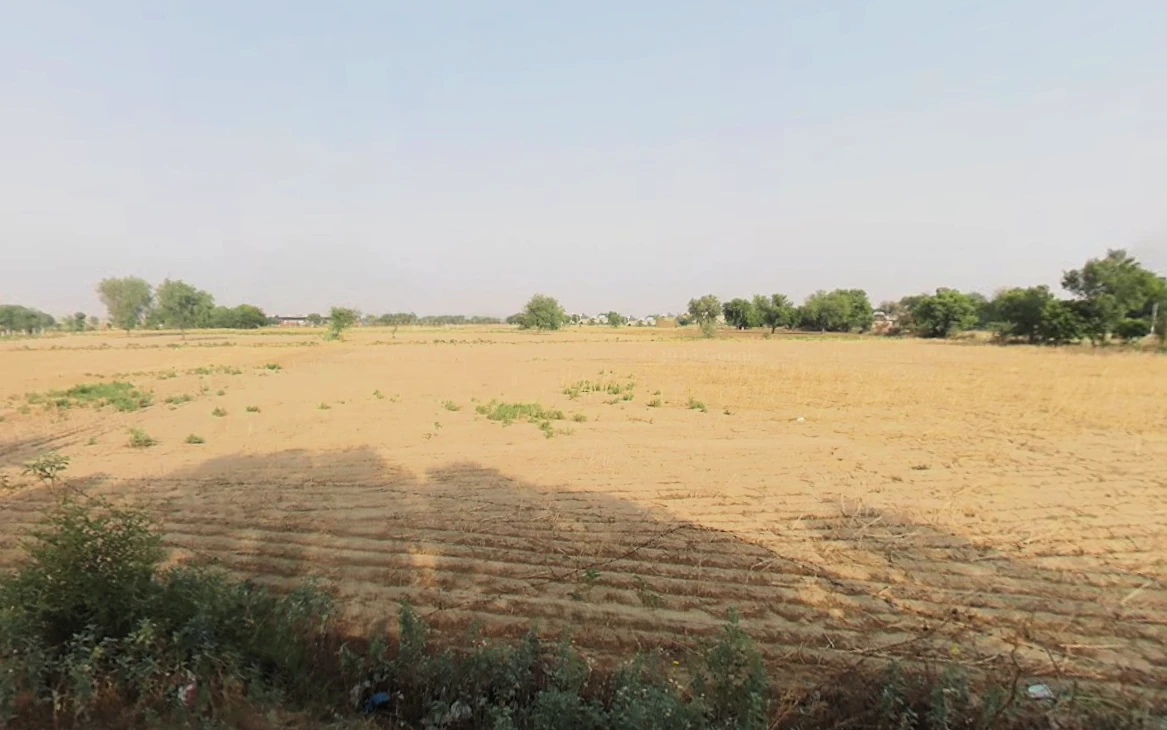 Sangwari, Haryana 123401, India