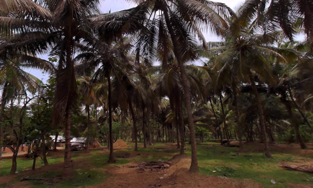 203, Palakkad - Koduvayur - Meenakshipuram Hwy, Meenakshipuram, Tamil Nadu 642103, India