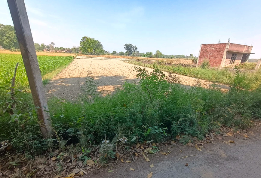 Mandha, Rajasthan, India