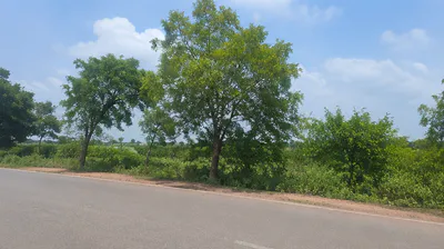 Bindki, Fatehpur, Uttar Pradesh 212635, India preview 3
