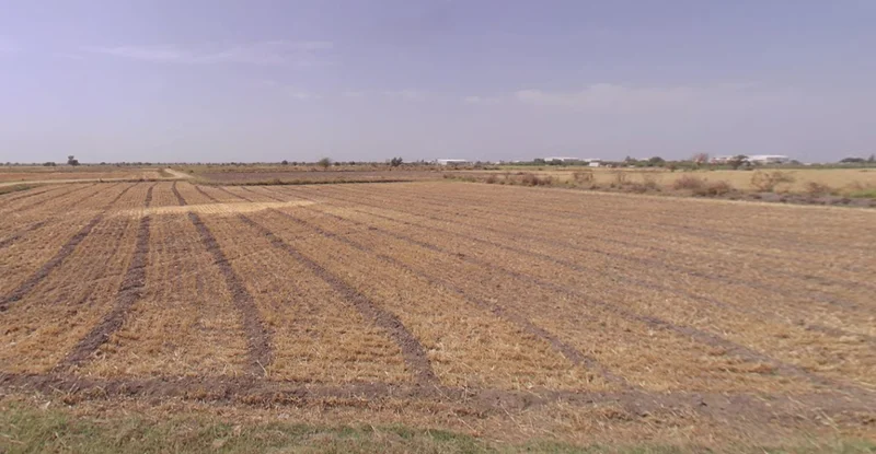 Virochannagar, Gujarat 382170, India preview 2