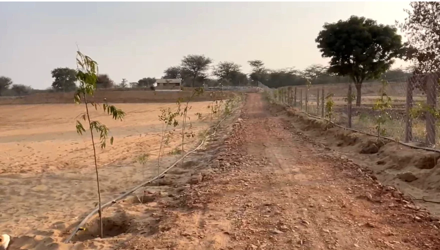 Thanwala, Rajasthan 305026, India