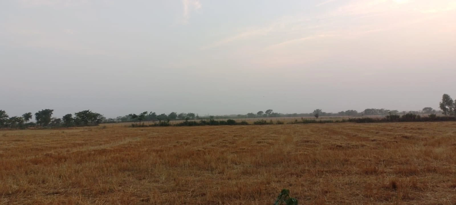 Maholi, Uttar Pradesh 261141, India