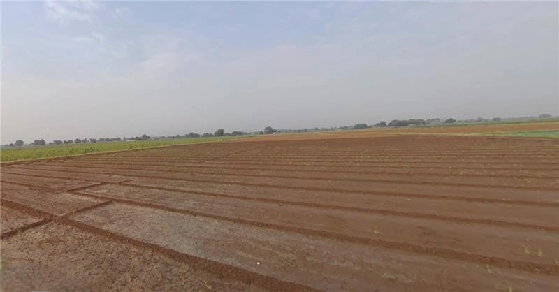 Viramgam, Gujarat 382150, India