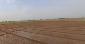 Viramgam, Gujarat 382150, India preview 2