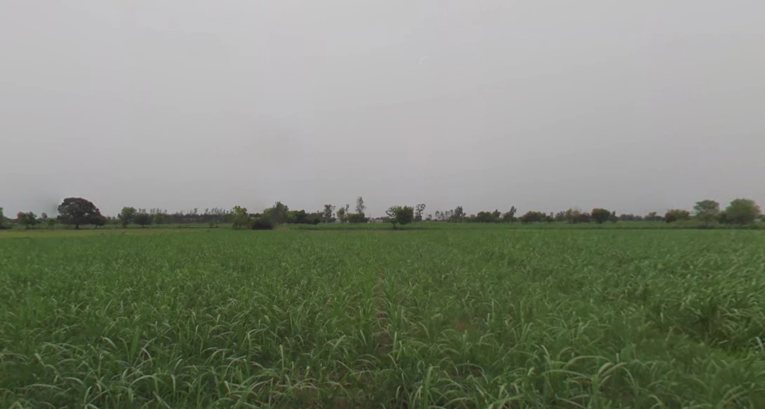 Baral, Uttar Pradesh 203408, India