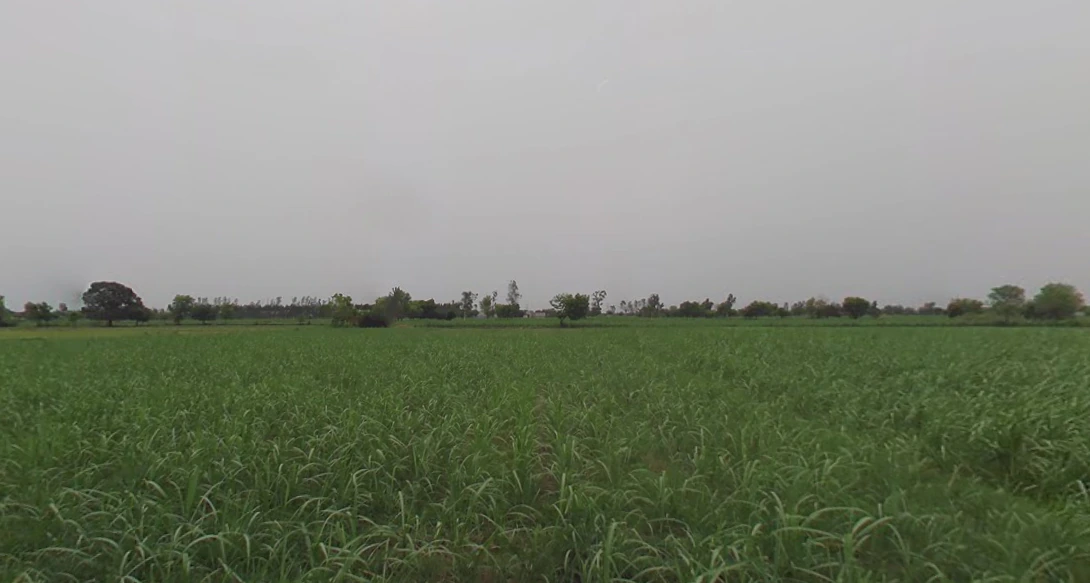 Baral, Uttar Pradesh 203408, India