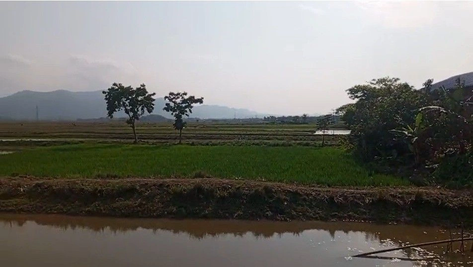 Durang, Assam 782403, India