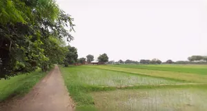 Nuh, Haryana, India preview 2