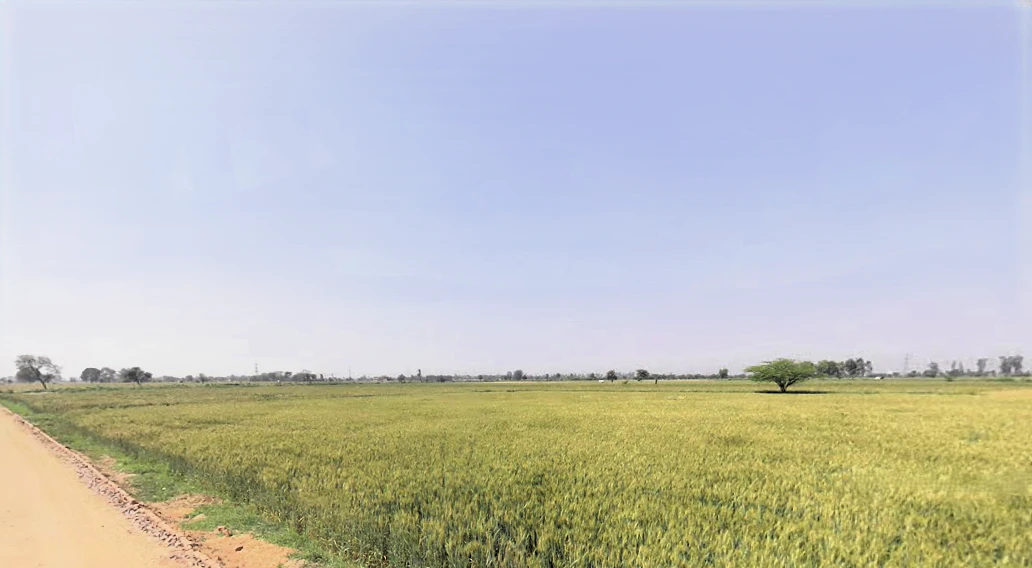 Sarurpur, Haryana, India