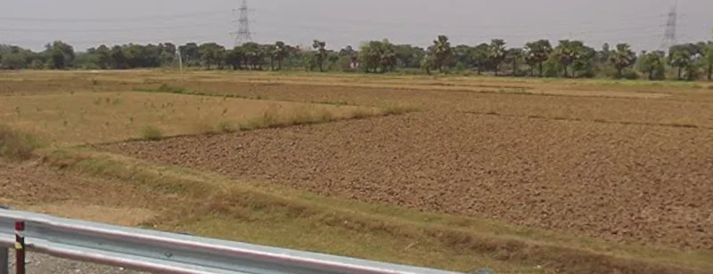 Ullar-Masaurhi Rd, Ichipur, Bihar, India preview 3