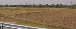 Ullar-Masaurhi Rd, Ichipur, Bihar, India preview 3